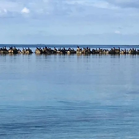 Lejlighed Il Mare Di Alida Alghero