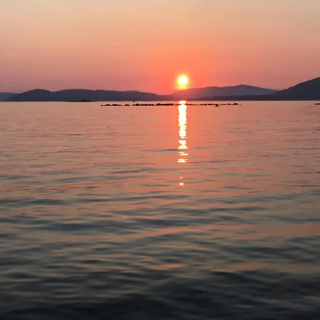 Il Mare Di Alida