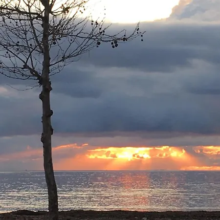 Il Mare Di Alida * אלגהרו