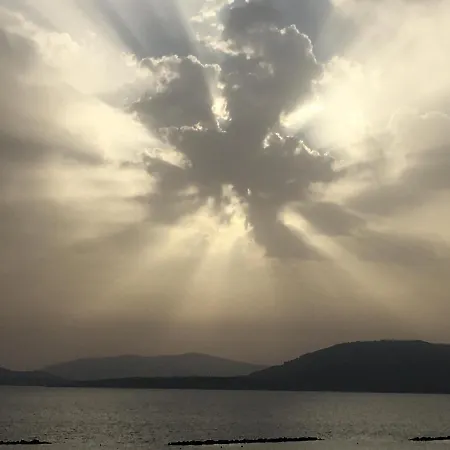 Il Mare Di Alida
